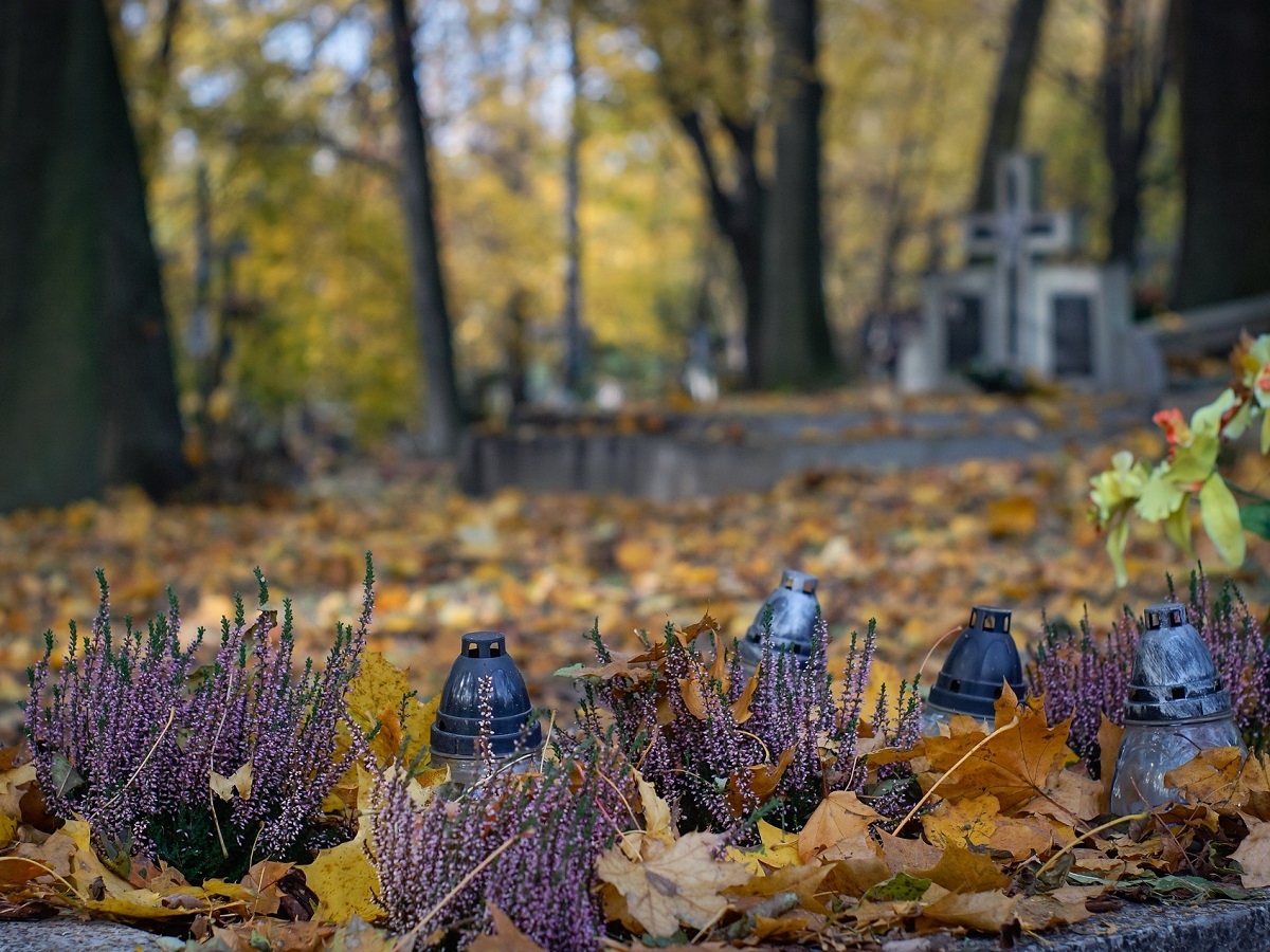 French post : Toussaint 