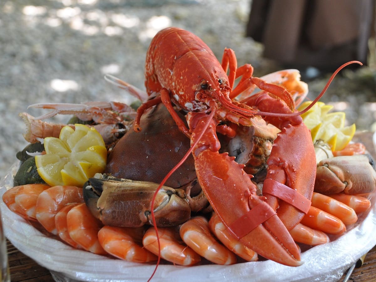 Display of various shellfish – Guide to French vocabulary for seafood and crustaceans.