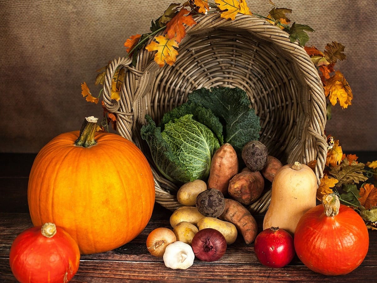 Basket of fresh vegetables – French vegetable vocabulary list with a free audiobook included